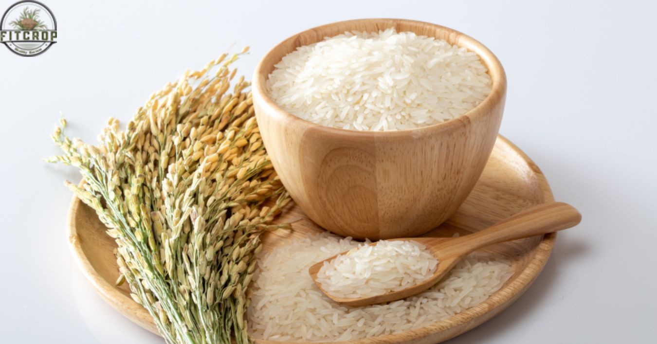 Safe Rice for Diabetics — Low GI Options Recommended by Doctors